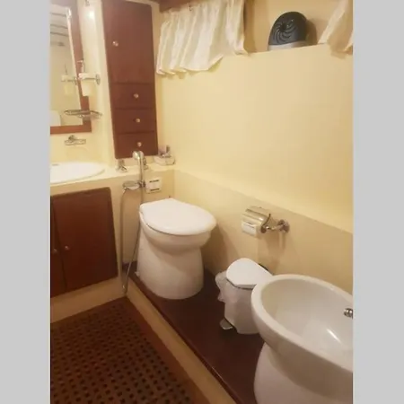 Motor Boat Paloma Rea * トロギール